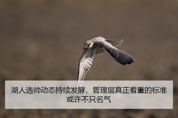 湖人选帅动态持续发酵，管理层真正看重的标准或许不只名气